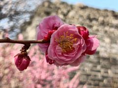 -北京明城墙遗址公园