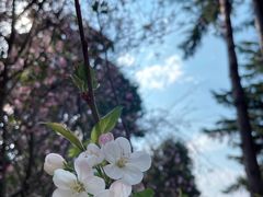 -南诏风情岛