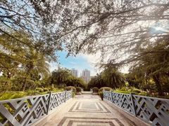 -三亚凤凰水城凯莱度假酒店