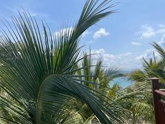 -三亚西岛海洋文化旅游区