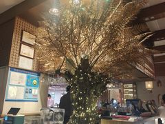 -ELI FALAFEL Lebanese&Mediterranean黎巴嫩美食(富城路店)