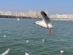 -蠡湖大桥公园