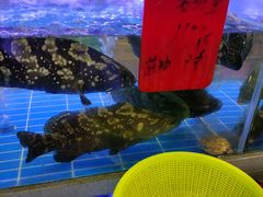 -金海湾海鲜排档(朱家尖店)