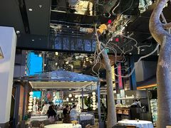 -桂满陇·海市蜃楼·黑金(国金店)