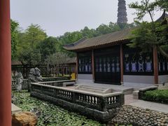 -顺峰山公园