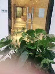 -莲姿娜·半永久纹眉皮肤管理