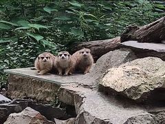-杭州动物园