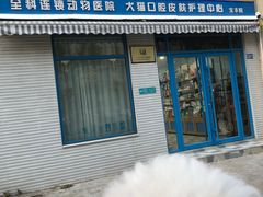 -总动员动物医院(宝丰院店)