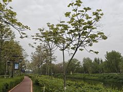 -西安汉城湖景区