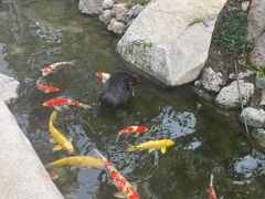 -罗红摄影艺术馆