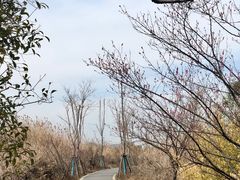 -广富林郊野公园
