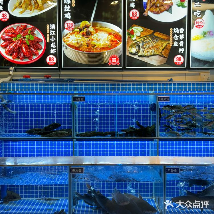 来桂林怎么能不吃啤酒鱼呢！️啤酒白骨魚 鱼肉蛮入味滴！