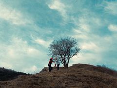 -阳台山自然风景区