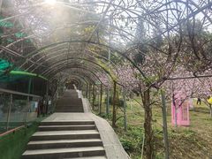 -求水山公园