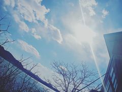 -望湖烤鱼