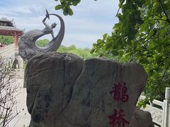 -东湖落雁景区