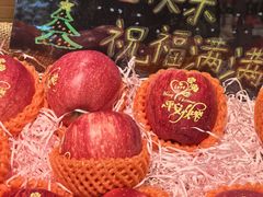 -岭南站NOVA