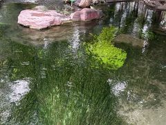 -水磨沟公园
