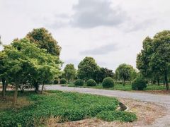 -小昆山驾校·基地自营(松江大学城实体店)