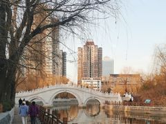 -迎泽公园