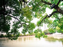 -建水文庙
