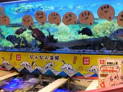 -喜碧海鲜·二十年本土海鲜老字号(上排店)