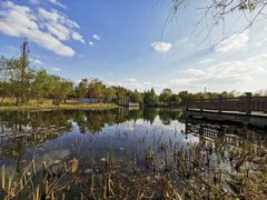-上海长兴岛郊野公园