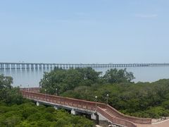 -宝安西湾红树林湿地公园