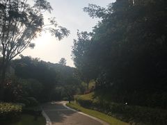 -广州都喜泰丽温泉度假酒店