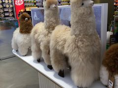 -国药中服免税(北京坊店)