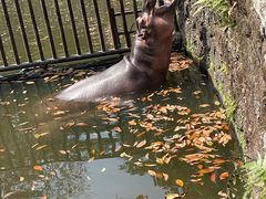 -海南热带野生动植物园