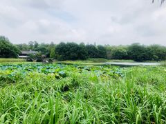 -一江春水·杭帮臻宴(三台山店)