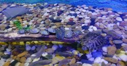 -酷嗒动物文化乐园(cutezoo西溪乐天城店)