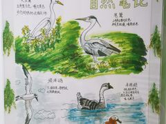 -上海昆虫博物馆