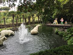 -济州岛泰迪熊博物馆