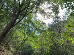 -北京鹫峰国家森林公园