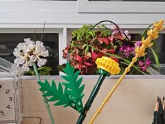 -罗森便利店(鱼市街店)