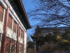 -北京大学赛克勒考古与艺术博物馆