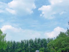 -柳浪游泳场