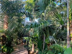 -国家植物园南园