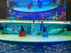 -成都浩海立方海洋公园