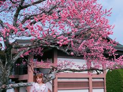 -醍醐寺