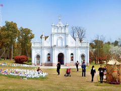 -杭州湾海上花田景区