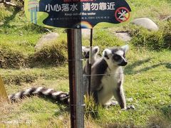 -灵玲国际马戏城