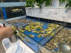 -川骄海鲜自助(王府井奥莱UP TOWN店原世界之花店)
