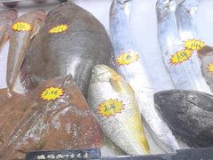 -渔码头食府(蓬莱阁店)