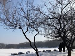 -二一九公园