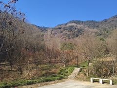 -杭州半山国家森林公园