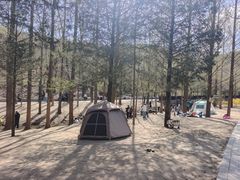 -白水寺森林公园
