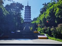 -宜兴龙背山森林公园